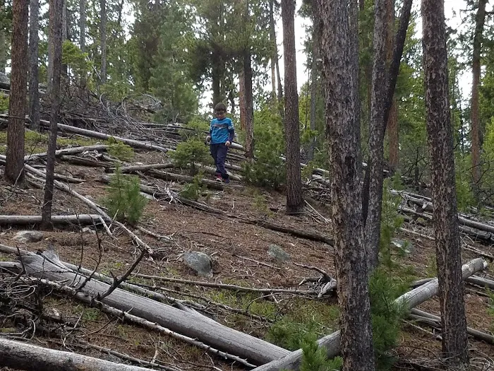 Wild Bill Lake Picture 10