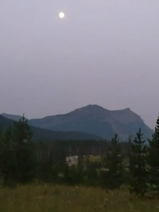 Colter Campground Picture 6