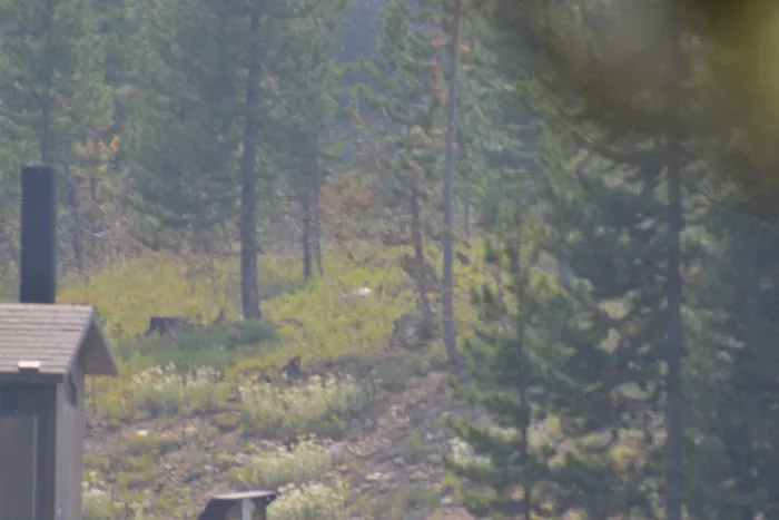 Colter Campground Picture 4