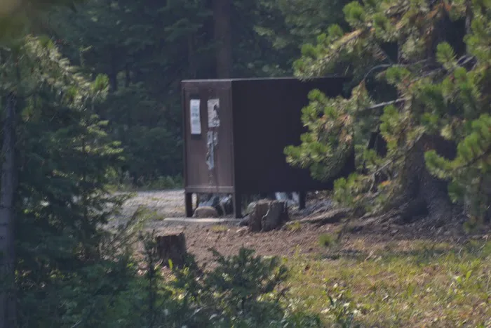 Colter Campground Picture 5