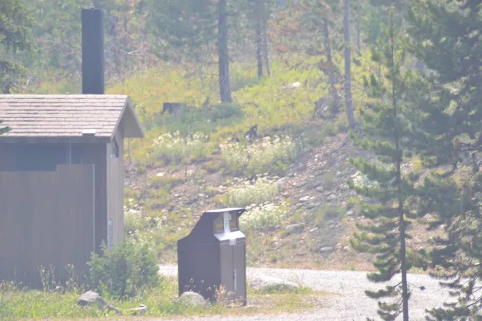 Colter Campground Picture 1