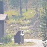 Colter Campground ico