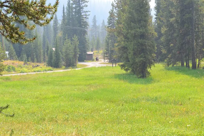 Colter Campground Picture 2