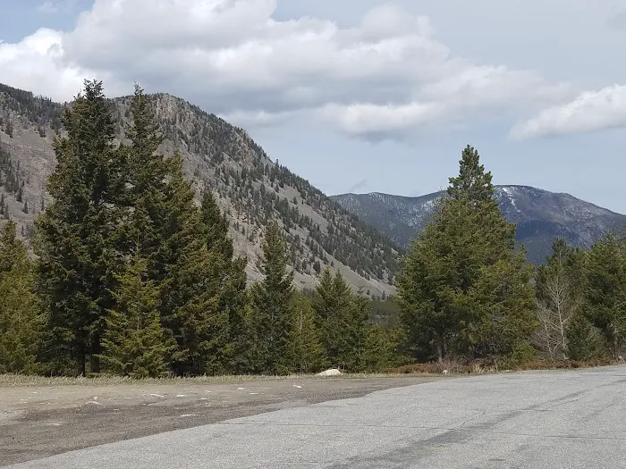 Limber Pine Campground Picture 2