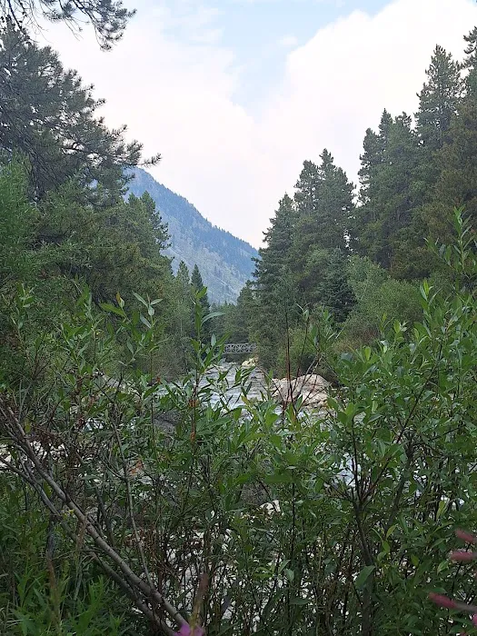 Limber Pine Campground Picture 4