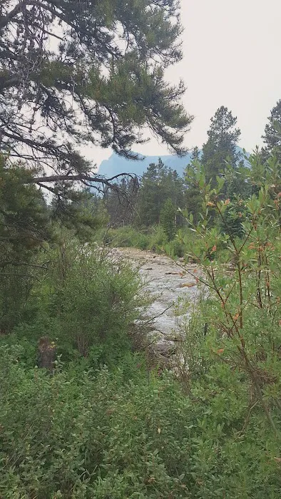 Limber Pine Campground Picture 5