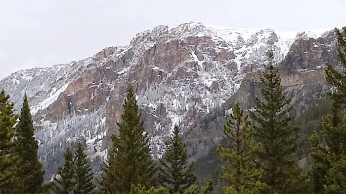 Limber Pine Campground Picture 6