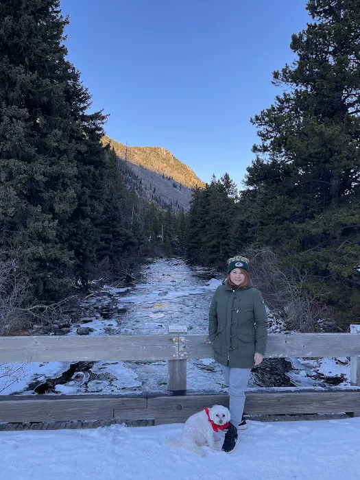 Limber Pine Campground Picture 9