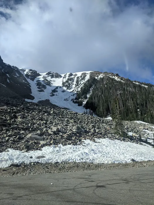 Limber Pine Campground Picture 10