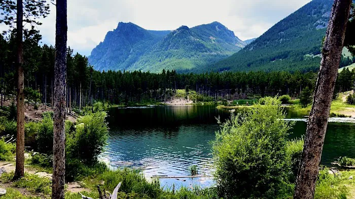 Greenough Lake Campground Picture 4