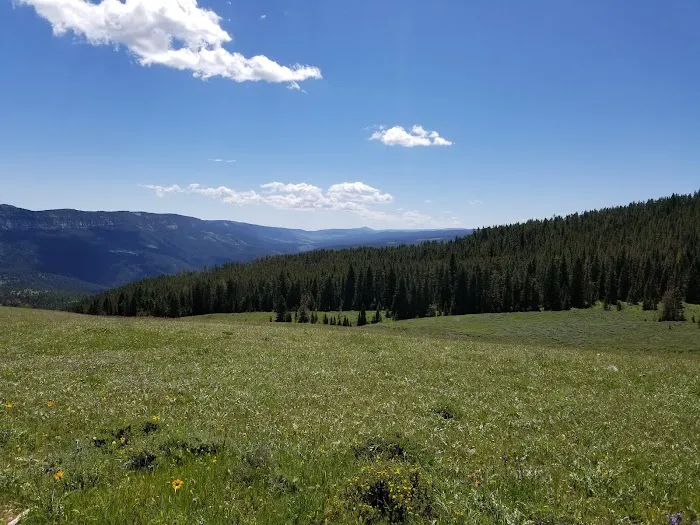 Greenough Lake Campground Picture 7