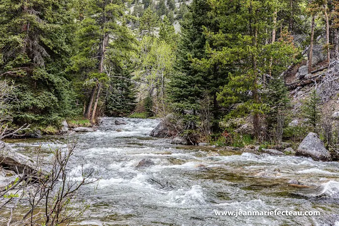 Parkside Campground Picture 2