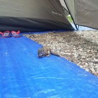 Parkside Campground ico