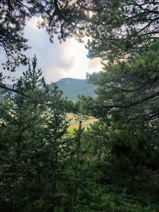 Parkside Campground Picture 8