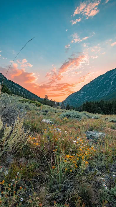 Parkside Campground Picture 7