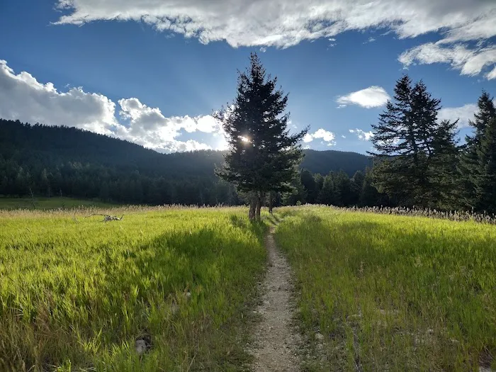 Palisades Campground Picture 2