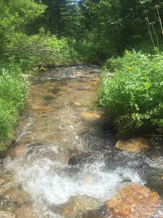 Palisades Campground Picture 3