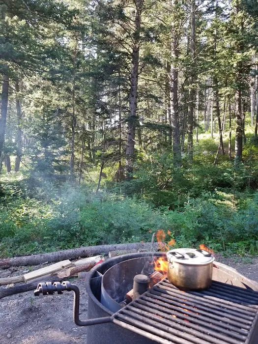 Palisades Campground Picture 9