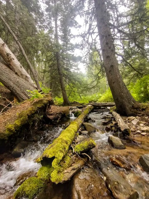 Palisades Campground Picture 5