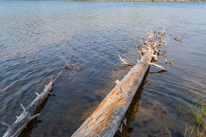 Ice Lake South Picture 11
