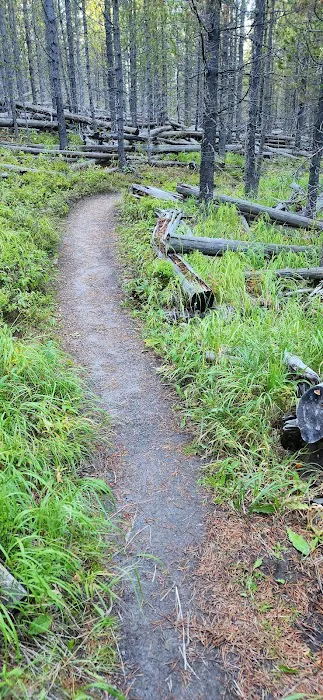 Ice Lake North Picture 3