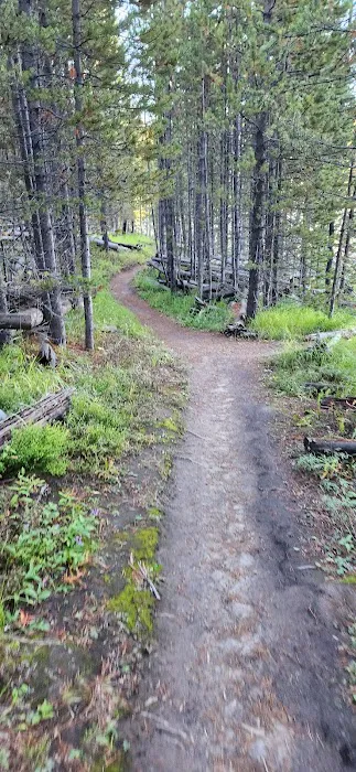 Ice Lake North Picture 8