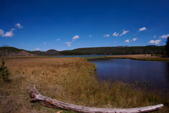 Wolf Lake 4G7 Picture 3