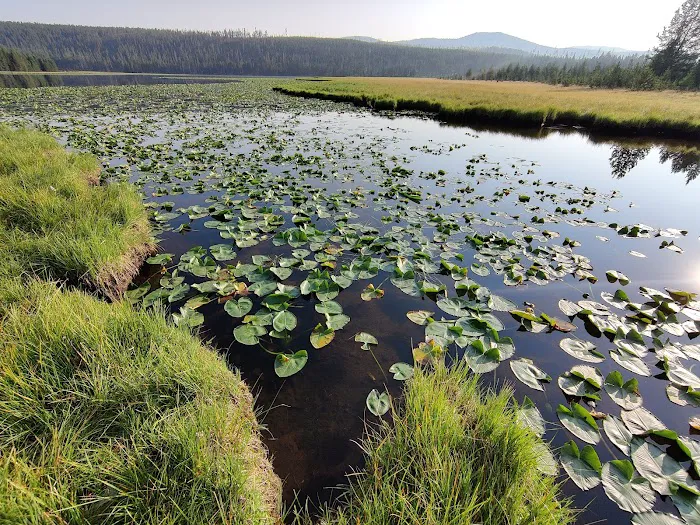 Wolf Lake 4G7 Picture 2