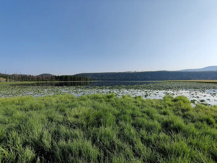 Wolf Lake 4G7 Picture 10