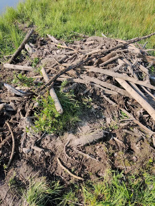 Wolf Lake 4G7 Picture 9