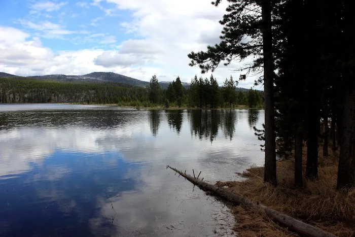 Wolf Lake 4G7 Picture 8