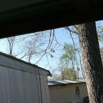 Little Bills Trailer Park