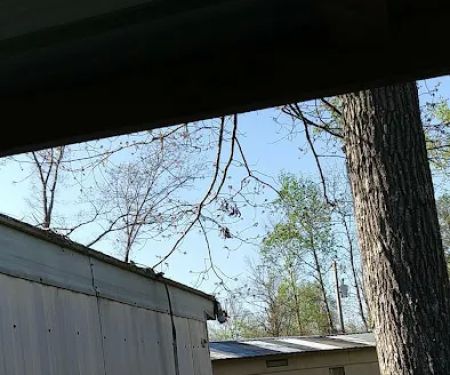 Little Bills Trailer Park