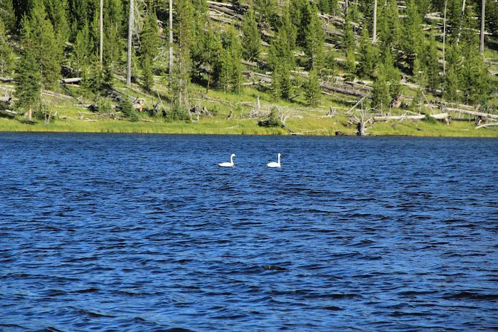 Cascade Lake 4E3 Picture 5