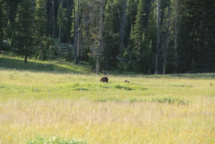 Cascade Lake 4E3 Picture 3