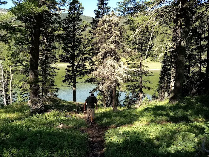 Crystal Lake Campground Picture 6