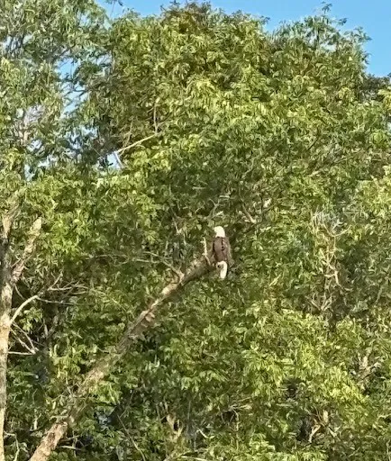 Lake Haven RV Park Picture 5