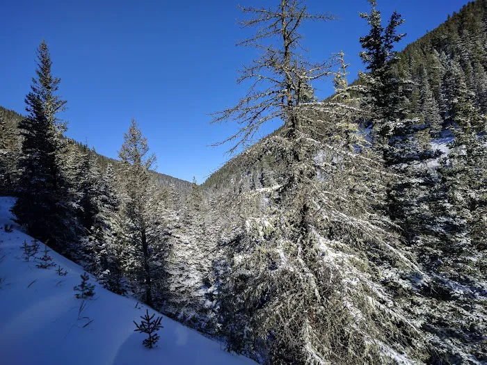 The Big and Little Snowy Mountain Range Picture 7