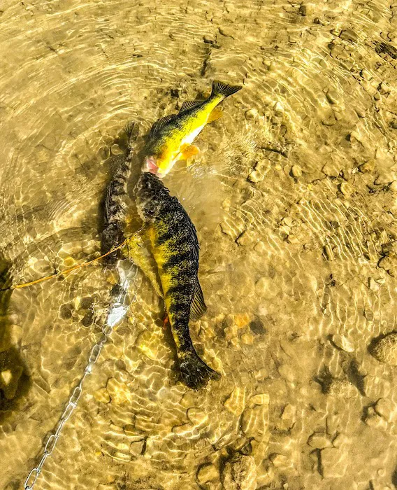 Ed McGivern Memorial Park Campground Picture 5