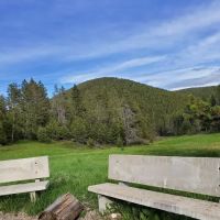 Girl Scouts of the USA ico