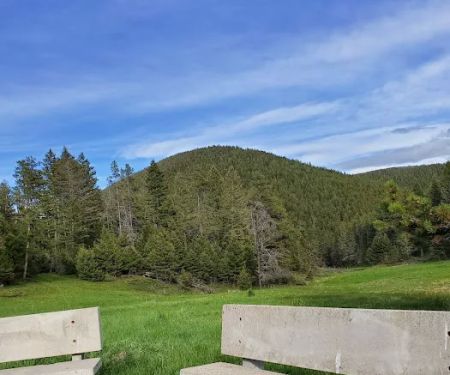 Girl Scouts of the USA