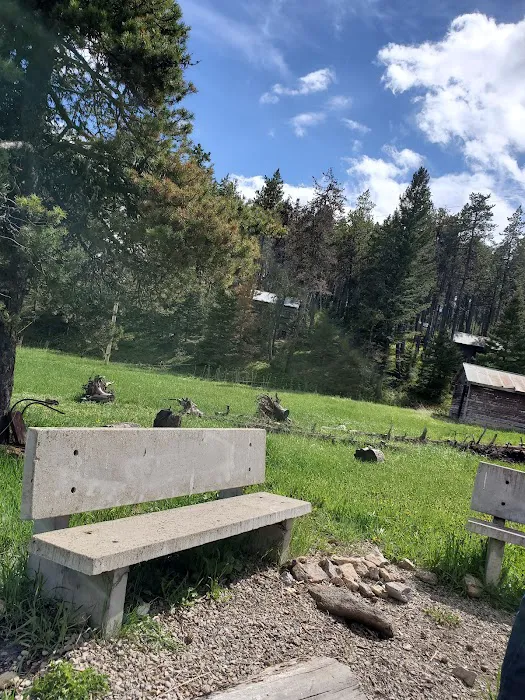 Girl Scouts of the USA Picture 2