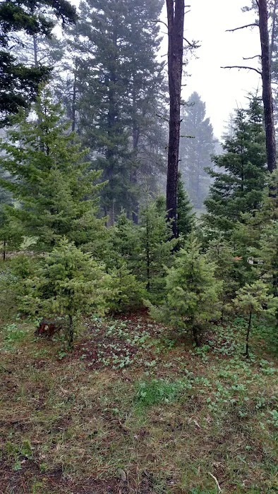 Girl Scouts of the USA Picture 6