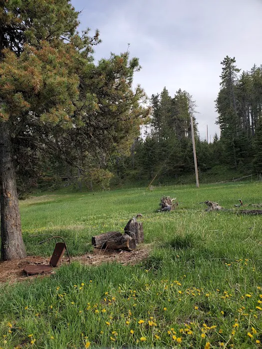 Girl Scouts of the USA Picture 9