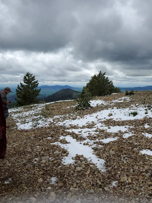 Girl Scouts of the USA Picture 5