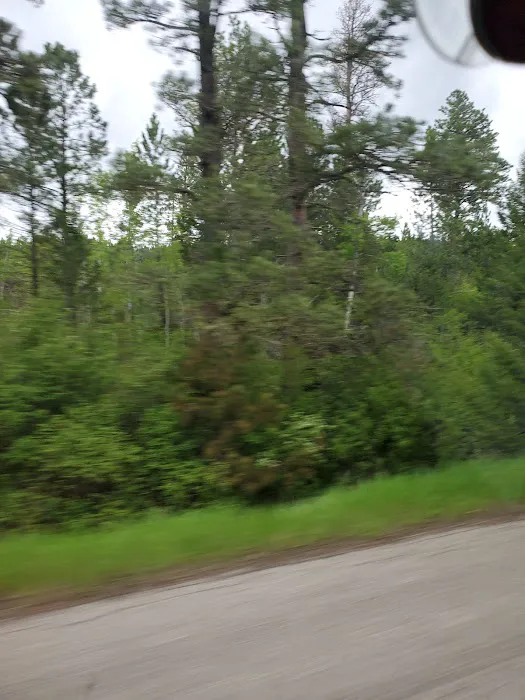 Girl Scouts of the USA Picture 4