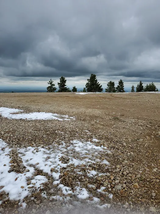 Girl Scouts of the USA Picture 10