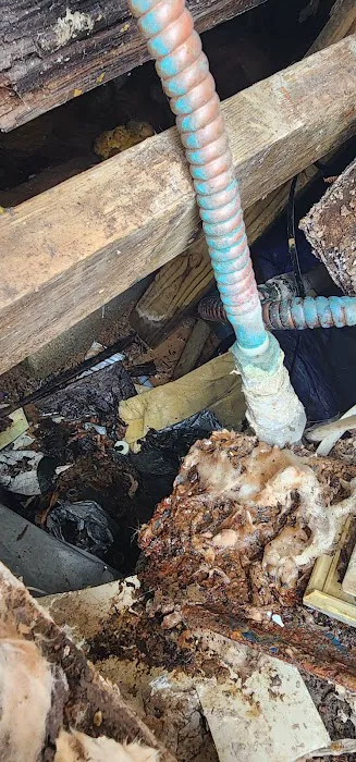 Lafayette Trailer Court Picture 5