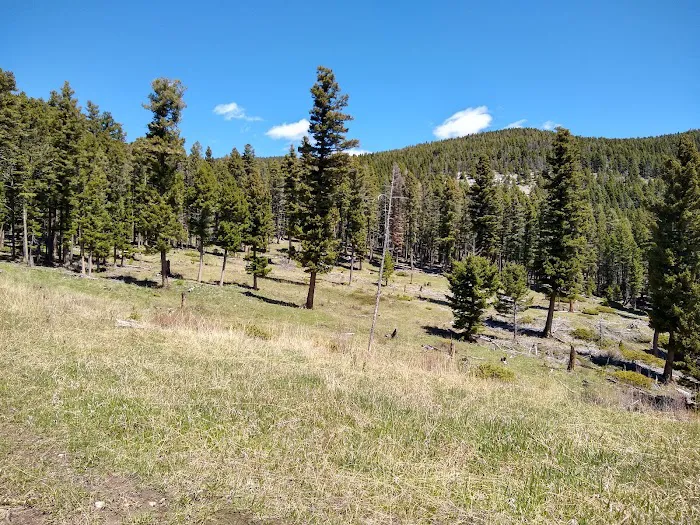 Timber Cr Dispersed Campground Picture 1