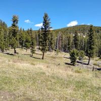 Timber Cr Dispersed Campground ico